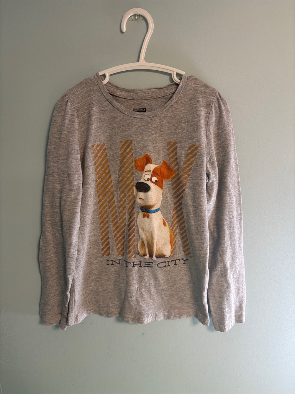 Illumination The Secret Life of Pets Max Grey Long Sleeve Shirt, Girl Size 6X